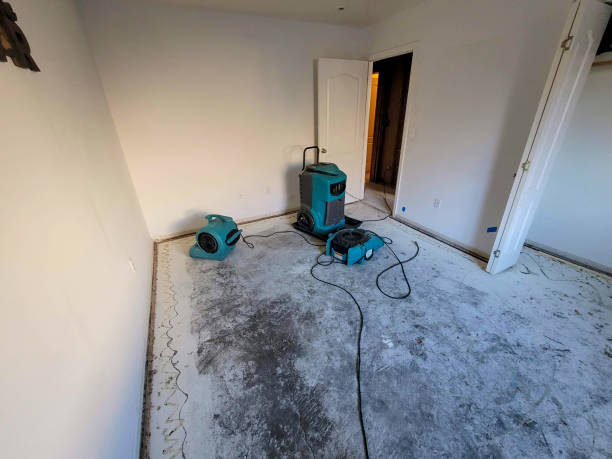 Reliable Bessemer, MI Water damage restoration Solutions
