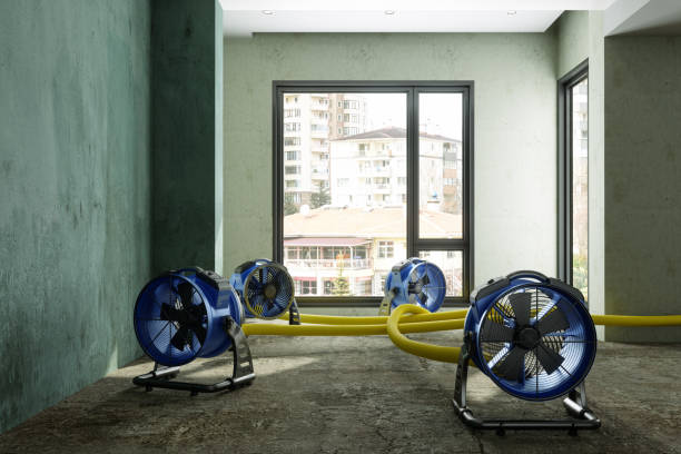Water damage restoration insurance claims in Bessemer, MI